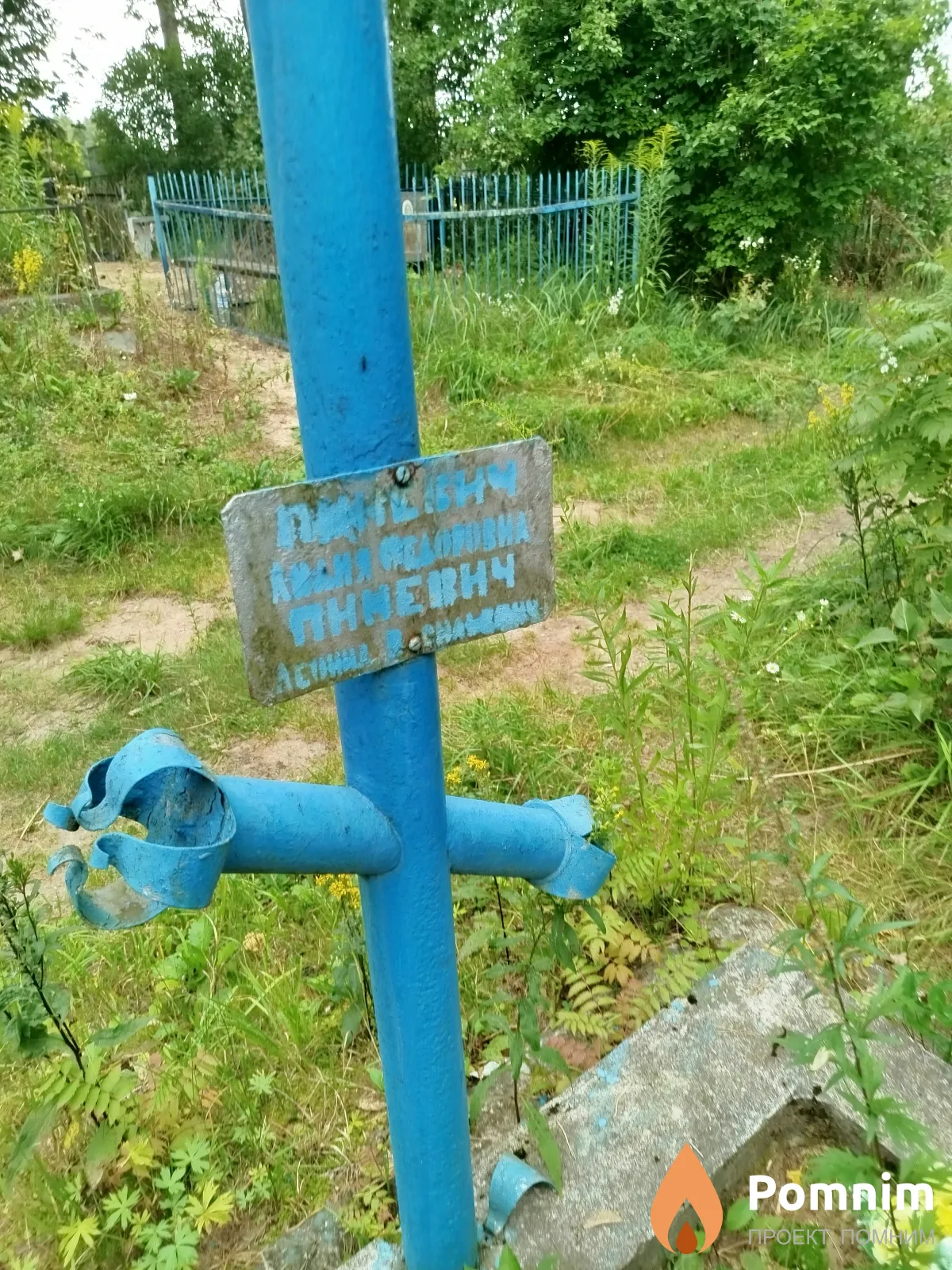 Пиневич Лилия Фёдоровна