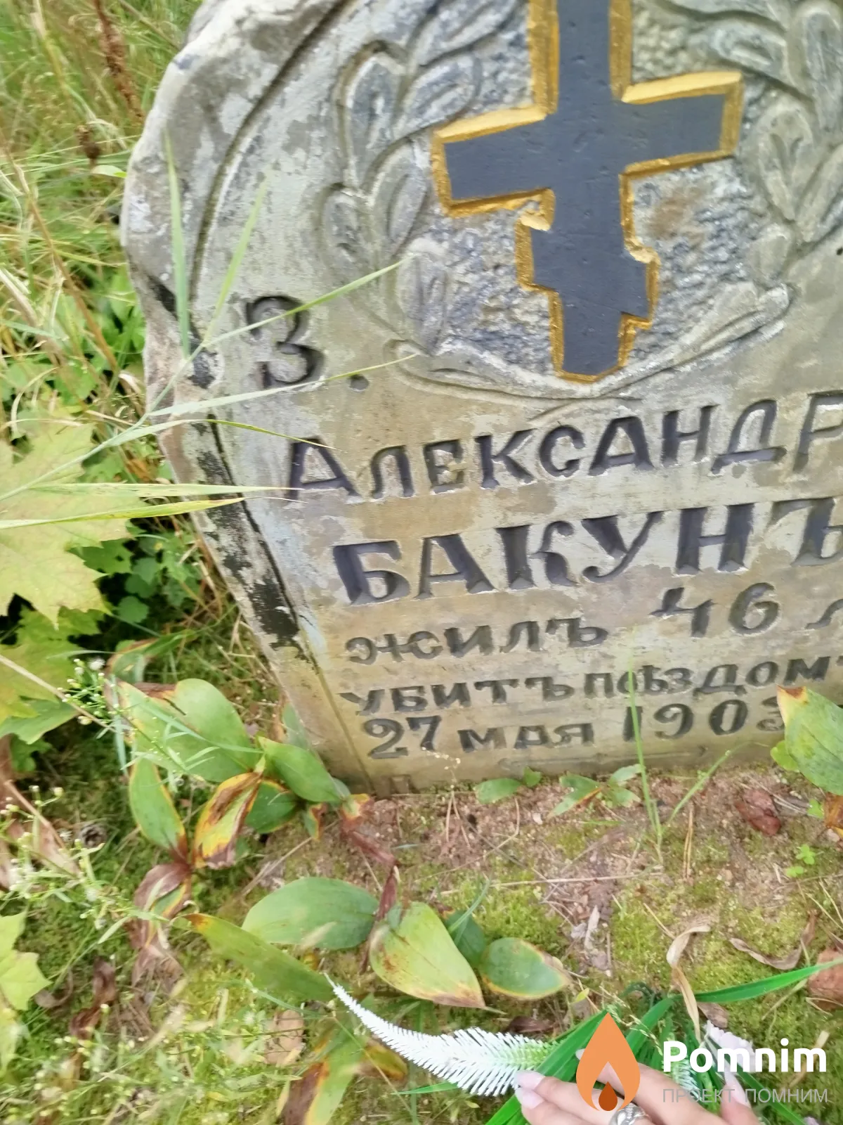 Бакун Александр
