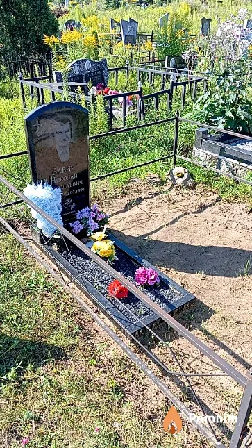 Бабич Николай Николаевич