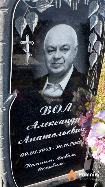 Вол Александр Анатольевич