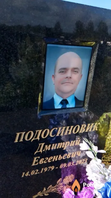 Подосиновик Дмитрий Евгеньевича