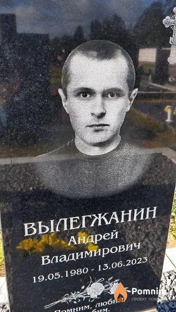 Вылегжанин Андрей Владимирович