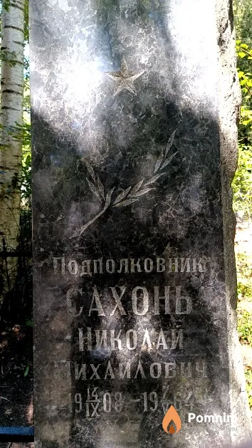 Сахонь Николай Михайлович