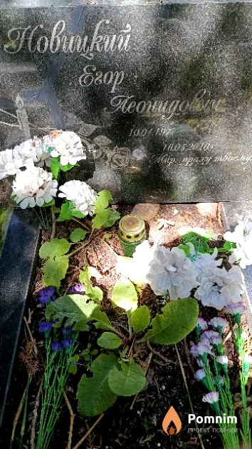 Новицкий Егор Леонидович