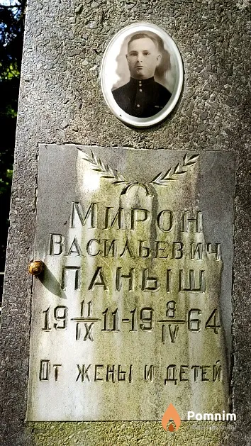 Паныш Мирон Васильевич