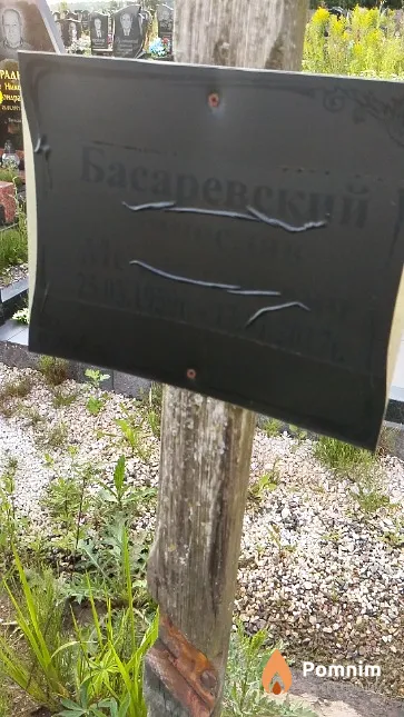 Басаревский Вячеслав Мечиславович