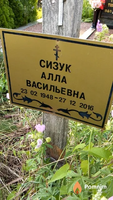 Сизук Алла Васильевна