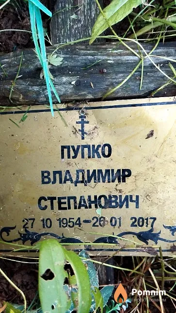 Пупко Владимир Степанович