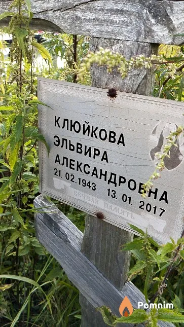 Клюйкова Эльвира Александровна
