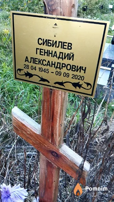 Сибилев Геннадий Александрович