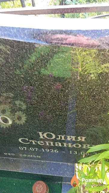 Агеенко Юлия Семёновна