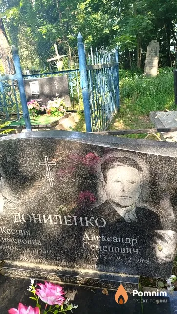 Дониленко Александр Семенович