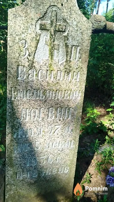 Логвин Василий Емельянович