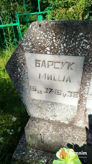 Барсук Михаил