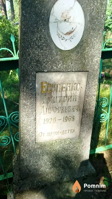 Есипенко Дмитрий Ануфриевич