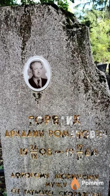 Горелик Аркадий Романович