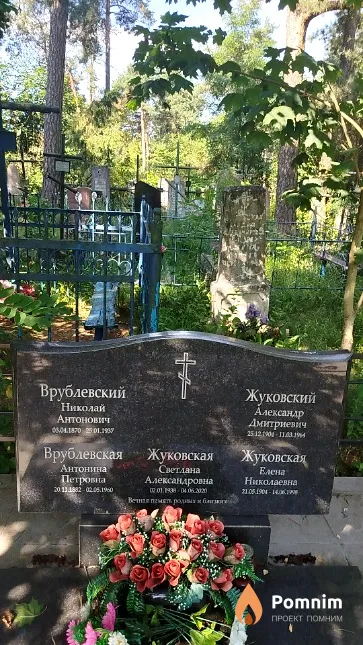 Жуковский Александр Дмитриевич