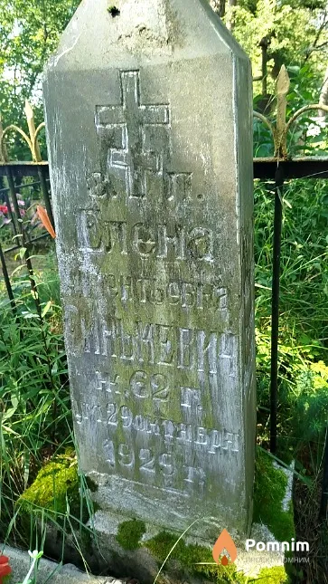 Синькевич Елена Викентьевна