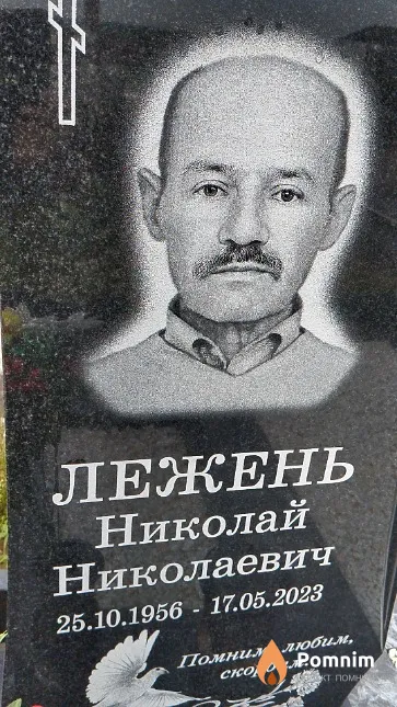 Лежень Николай Николаевич