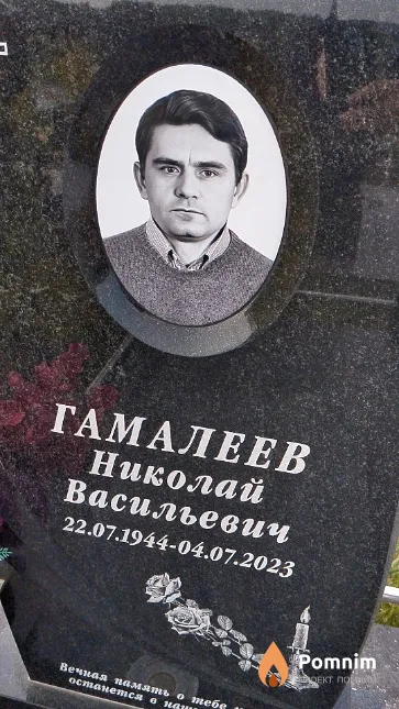 Гамалеев Николай Васильевич