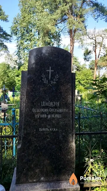 Шавкун Феодосия Степановна