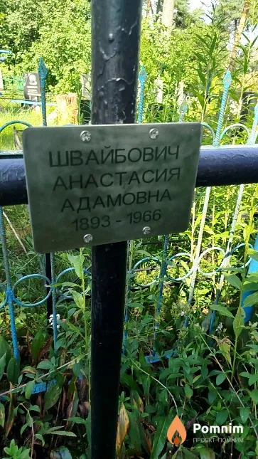 Швайбович Анастасия Адамовна