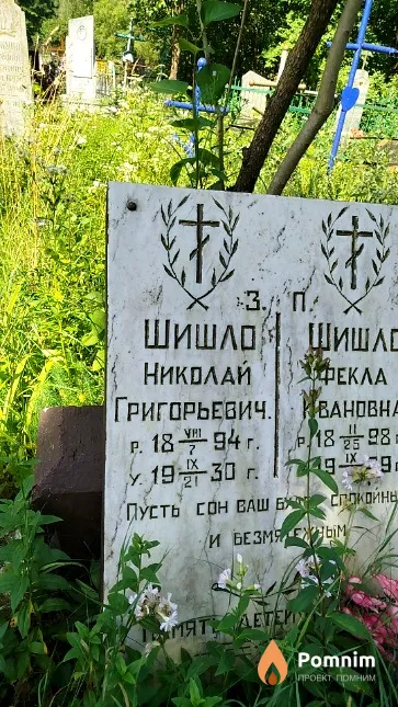 Шишло Николай Григорьевич