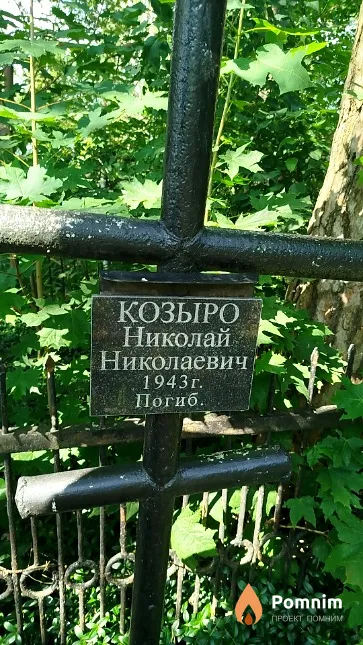 Козыро Николай Николаевич