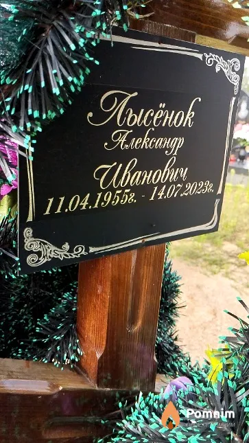 Лысёнок Александр Иванович