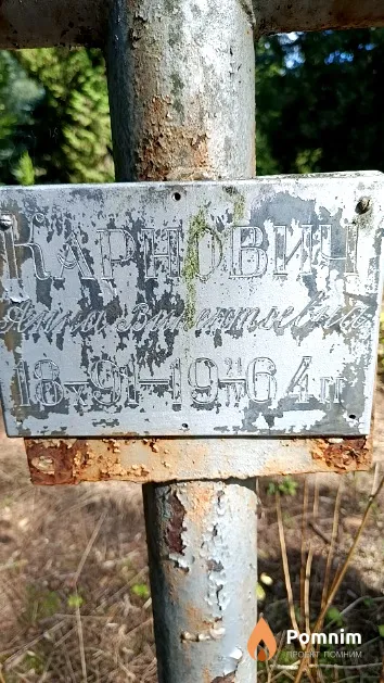 Карнович Анна Викентьевна