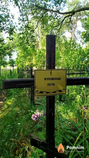 Жуковский Пётр