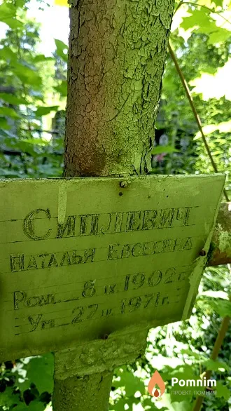 Сиплевич Наталья Евсеевна