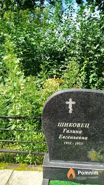 Шиковец Галина Евгеньевна