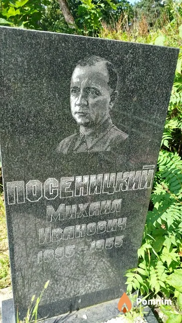 Посеницкий Михаил Иванович