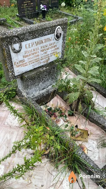 Сердюков Александр Михайлович