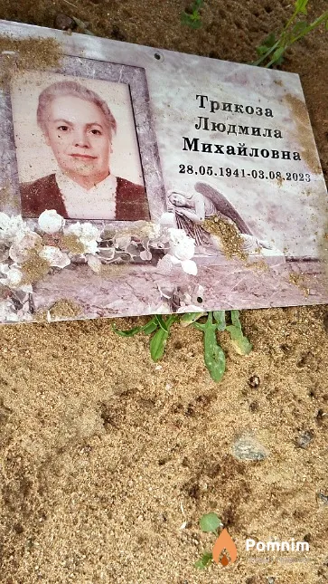 Трикоза Людмила Михайловна