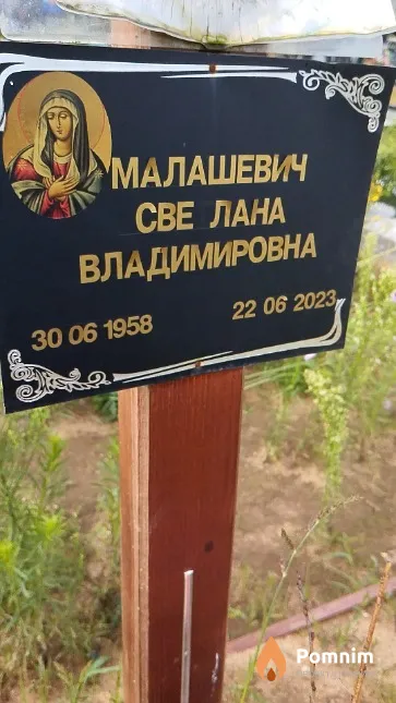 Малашевич Светлана Владимировна