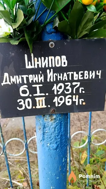 Шнипов Дмитрий Игнатьевич