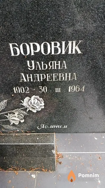 Боровик Ульяна Андреевна