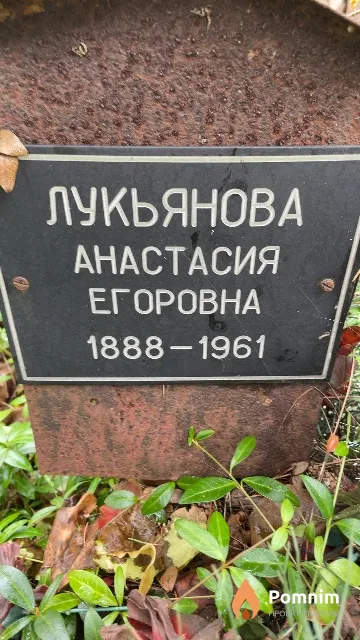 Лукьянова Анастасия Егоровна