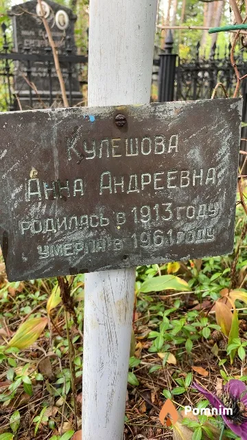 Кулешова Анна Андреевна