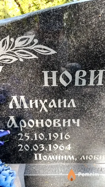 Новиков Михаил Аронович