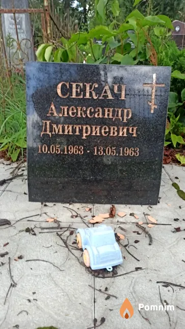 Секач Александр Дмитриевич