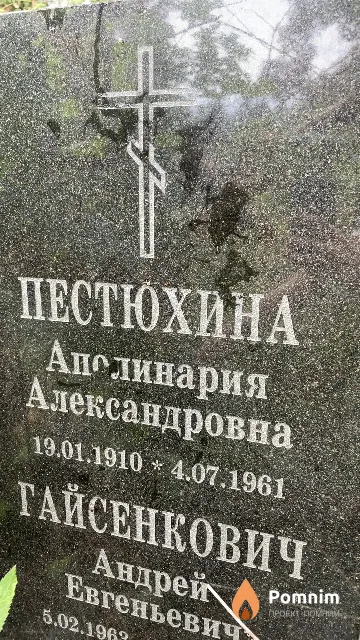 Пестюхина Аполинария Александровна