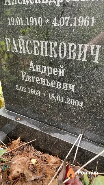 Гайсенкович Андрей Евгеньевич