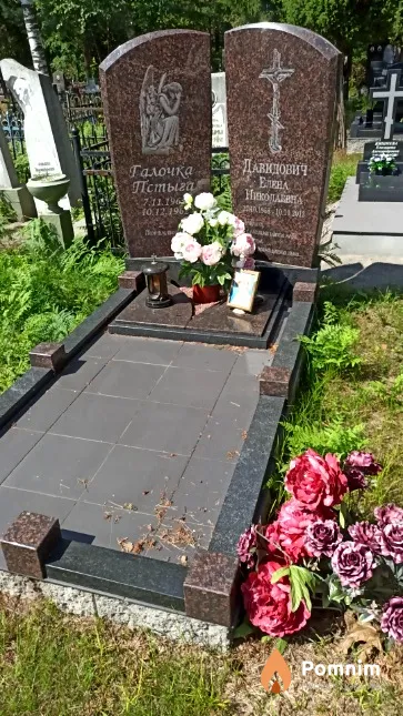 Давидович Елена Николаевна