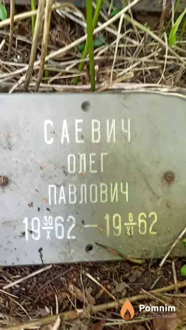 Саевич Олег Павлович