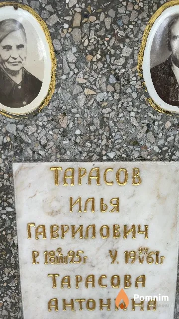 Tapacoв Илья Гаврилович