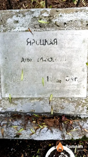 Яроцкая Анна Майсеевна