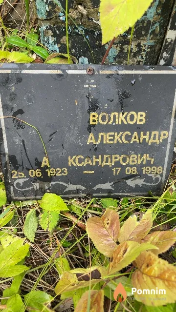 Волков Александр Александрович